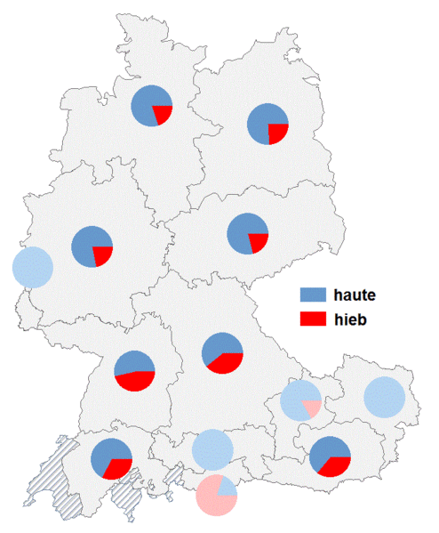 Datei:Haute hieb2.gif