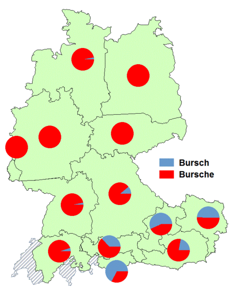 Datei:Bursch bursche.gif