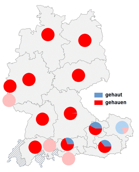 Datei:Gehaut gehauen.gif