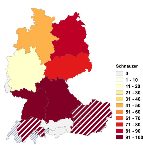 Datei:Schnauzer2.png