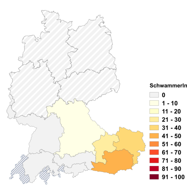 Datei:Schwammerln.png