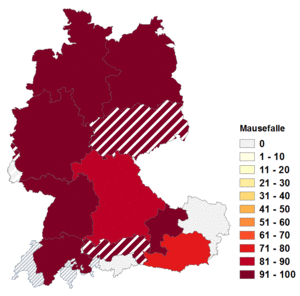 Relative Auftretenshäufigkeit von Mausefalle innerhalb der einzelnen Areale im Verhältnis zu Mausfalle (in %)