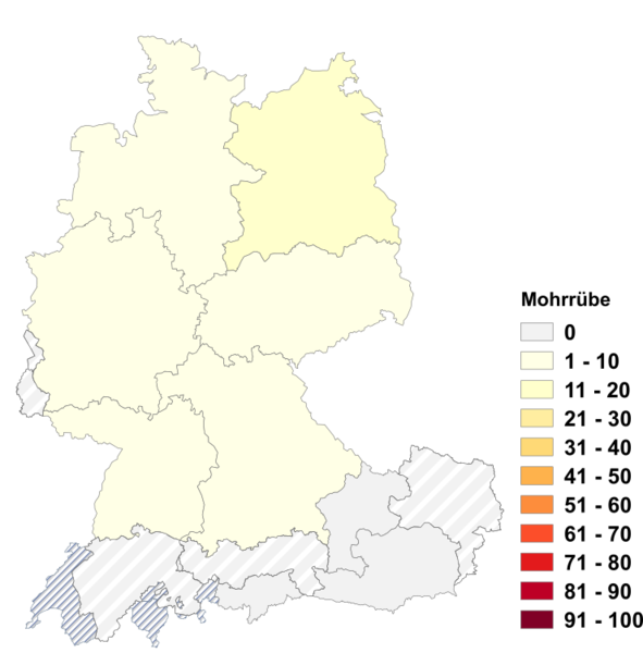 Datei:Mohrrübe.png