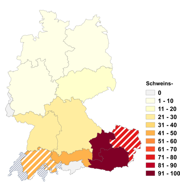 Datei:Schweins.png