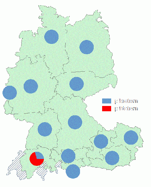 Datei:Pflastern pflästern.gif