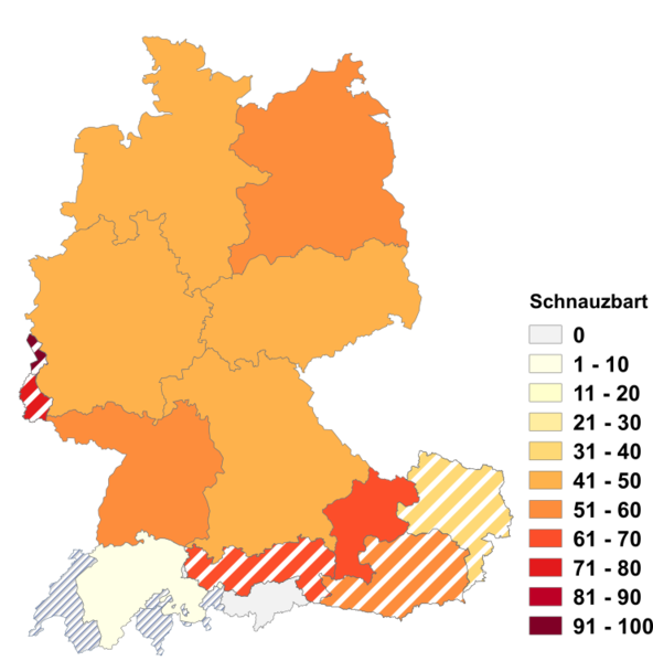 Datei:Schnauzbart.png