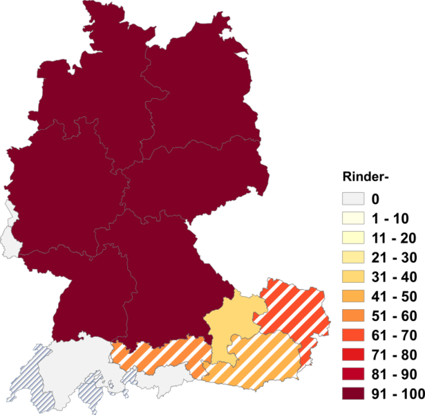 Datei:Rinder.png