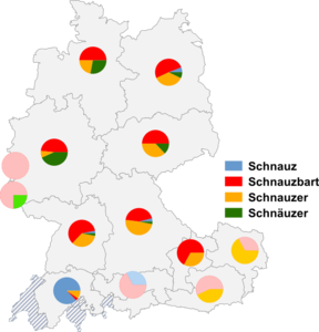 Relative Auftretenshäufigkeit von Schnauz / Schnauzbart / Schnauzer und Schnäuzer innerhalb der einzelnen Areale