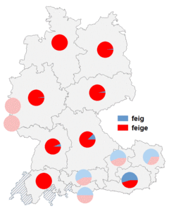Relative Auftretenshäufigkeit von feig / feige innerhalb der einzelnen Areale