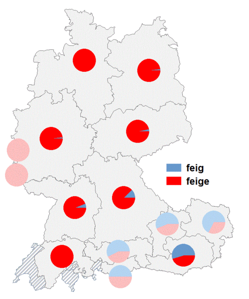 Datei:Feig feige.gif