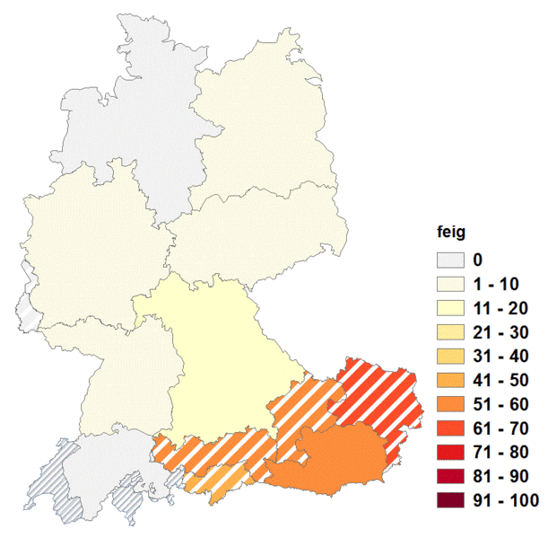 Datei:Feig.gif