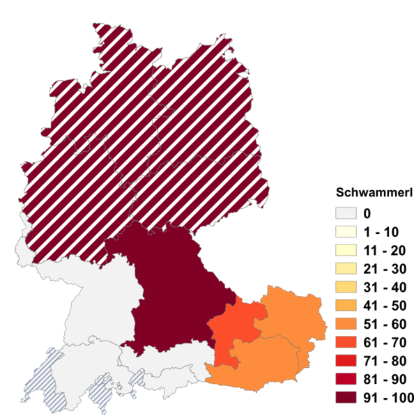 Datei:Schwammerl.png
