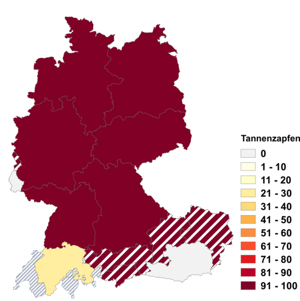 Datei:Tannenzapfen.png