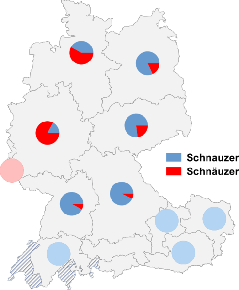 Datei:Schnauzer schnäuzer2.png