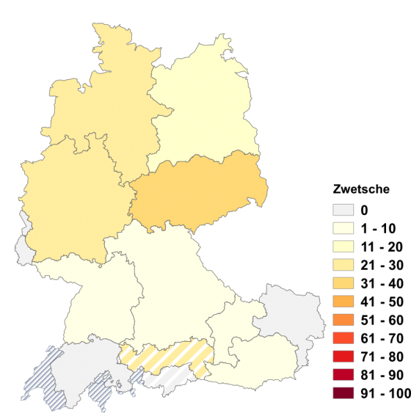 Datei:Zwetsche.png