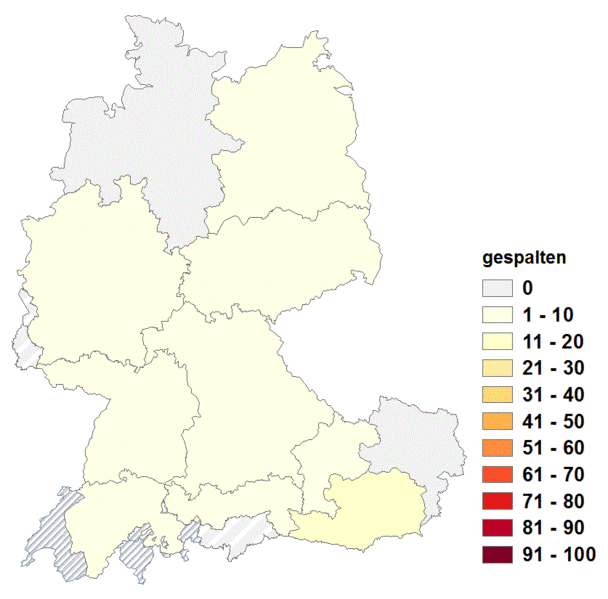 Datei:Gespalten3.gif