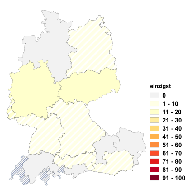 Datei:Einzigst.png