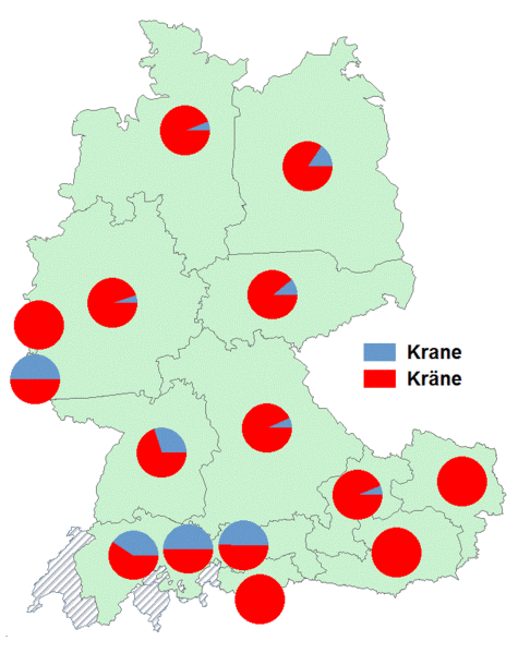 Datei:Kran plural.gif