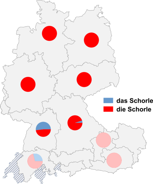 Datei:Schorle genus.png