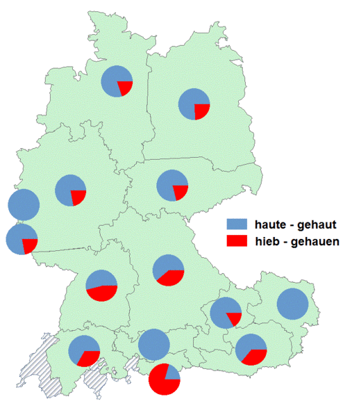 Datei:Haute hieb.gif