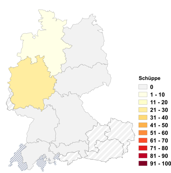 Datei:Schüppe.png