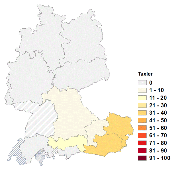 Datei:Taxler2.gif