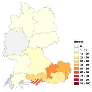 Relative Auftretenshäufigkeit von Bursch innerhalb der einzelnen Areale im Verhältnis zu Bursche (in %)
