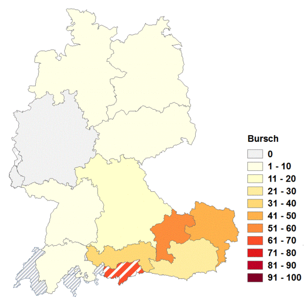 Datei:Bursch2.gif