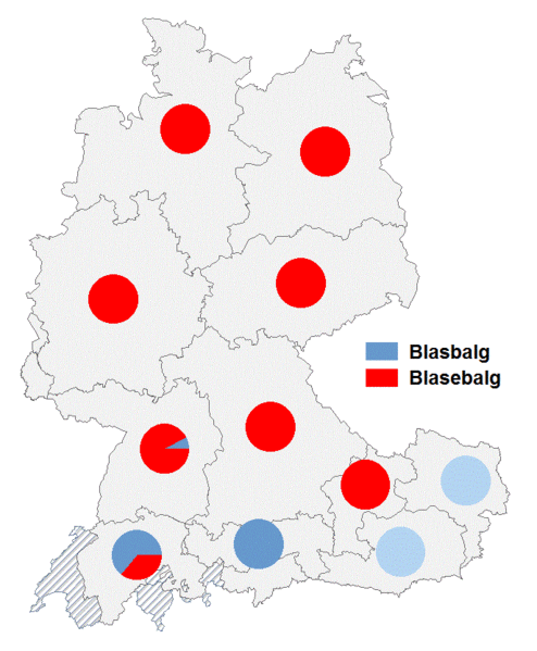 Datei:Blasbalg Blasebalg2.gif