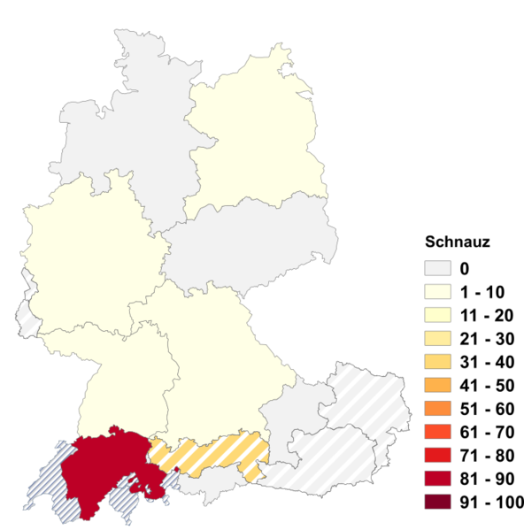 Datei:Schnauz.png