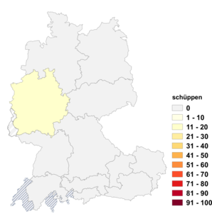 Relative Auftretenshäufigkeit von schüppen innerhalb der einzelnen Areale im Verhältnis zu schippen (in %)