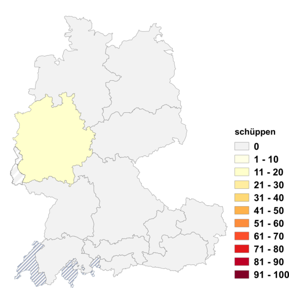 Datei:Schüppen.png