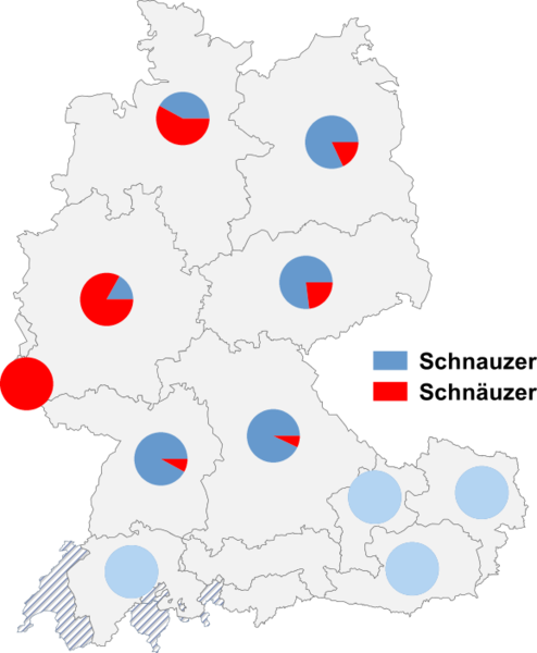 Datei:Schnauzer schnäuzer.png