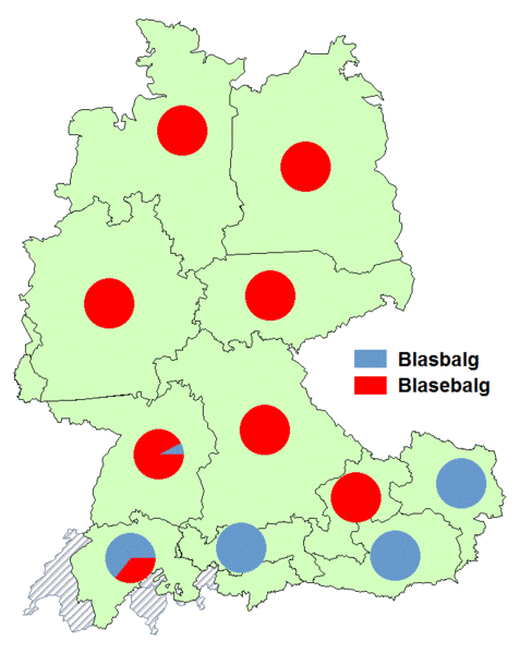 Datei:Blasbalg Blasebalg.gif