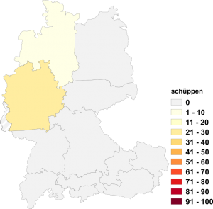Relative Auftretenshäufigkeit von schüppen innerhalb der einzelnen Areale im Verhältnis zu schippen (in %)