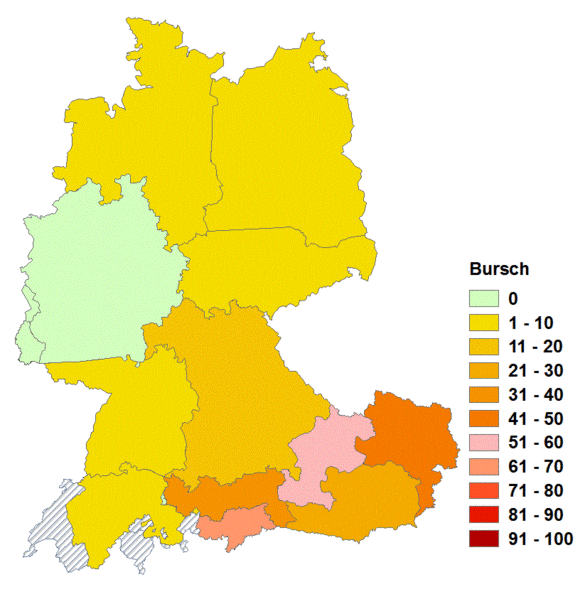 Datei:Bursch.gif