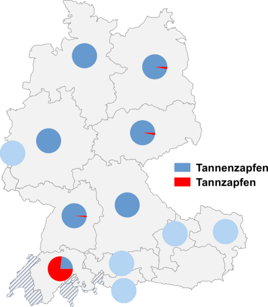 Datei:Tannenzapfen tannzapfen.png