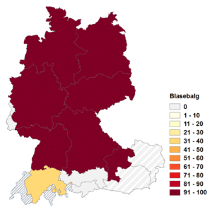 Relative Auftretenshäufigkeit von Blasebalg innerhalb der einzelnen Areale im Verhältnis zu Blasbalg (in %)