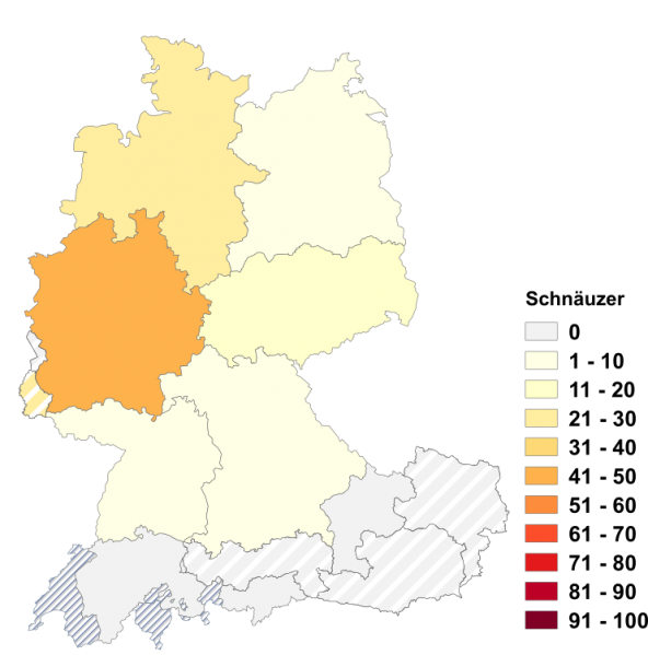 Datei:Schnäuzer.png