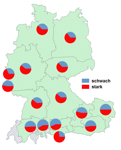 Datei:Schwache starke Verbalflexion Partizipialbildung.gif