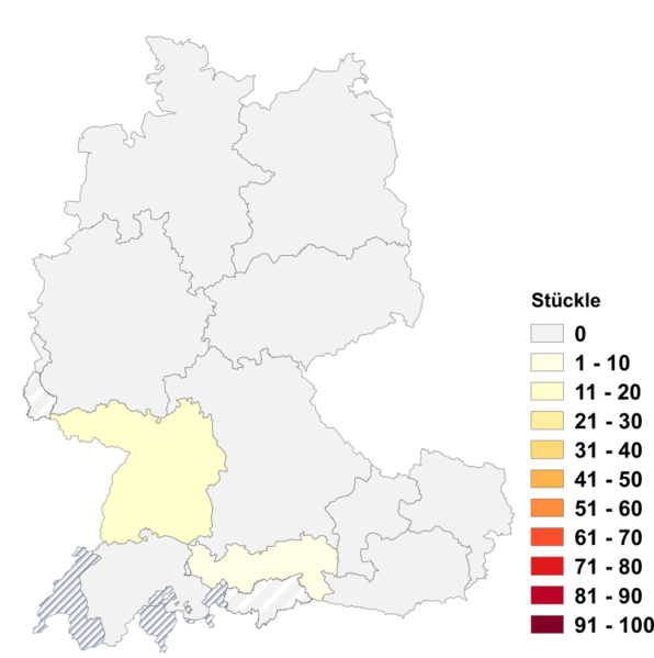 Datei:Stückle.png