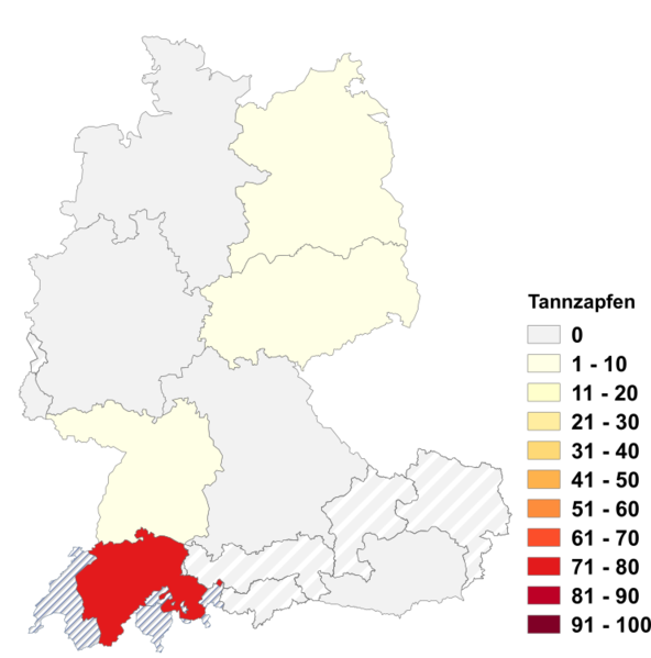 Datei:Tannzapfen.png