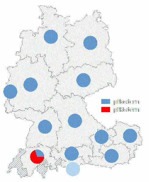 Datei:Pflastern pflästern2.gif