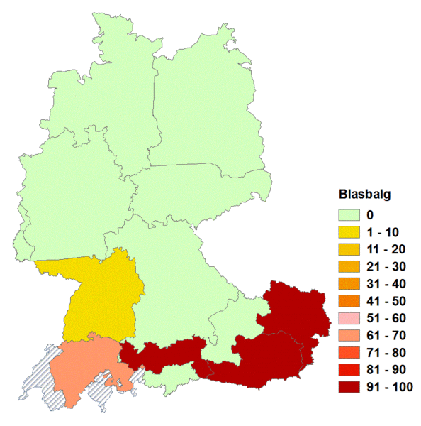 Datei:Blasbalg.gif
