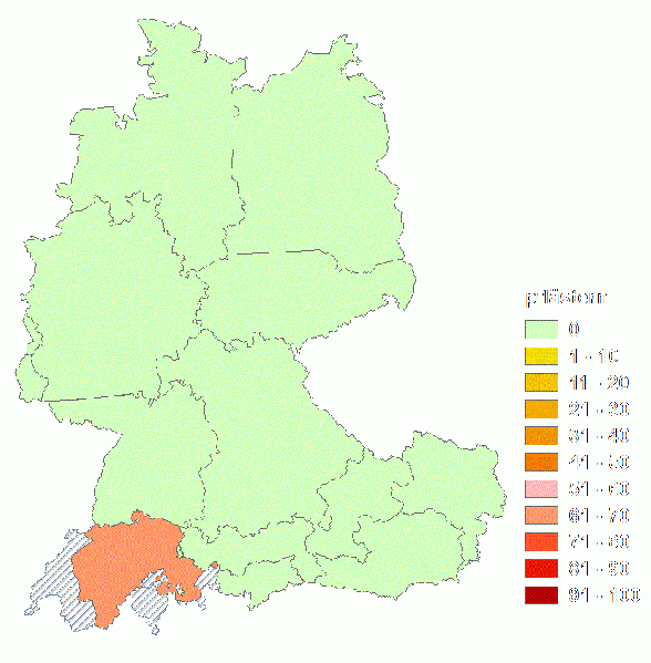 Datei:Pflästern.gif