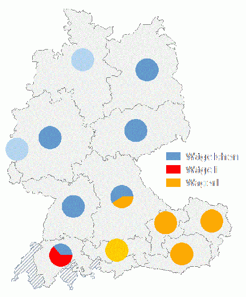Datei:Wägelchen wägeli wagerl.gif
