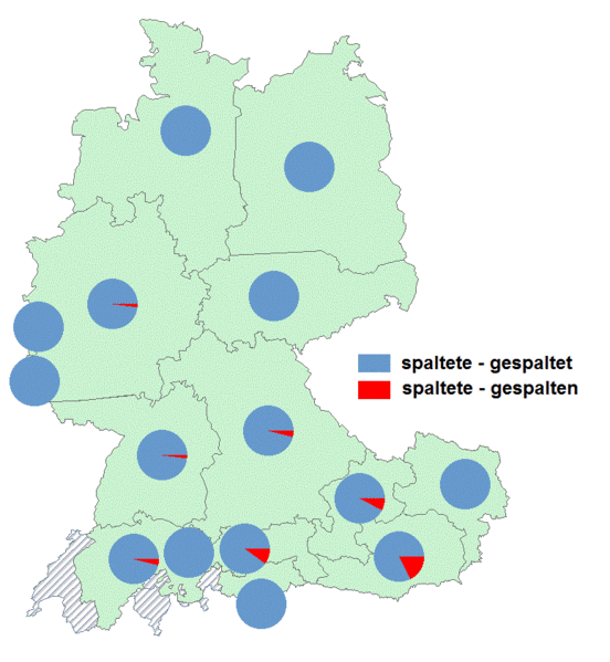 Datei:Gespaltet gespalten.gif