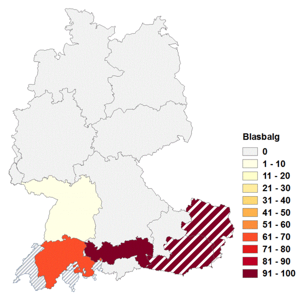 Datei:Blasbalg2.gif