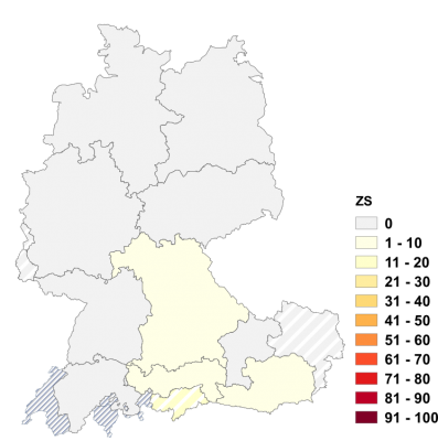 Relative Auftretenshäufigkeit von ZS innerhalb der einzelnen Areale im Verhältnis zu VS und NS (in %)